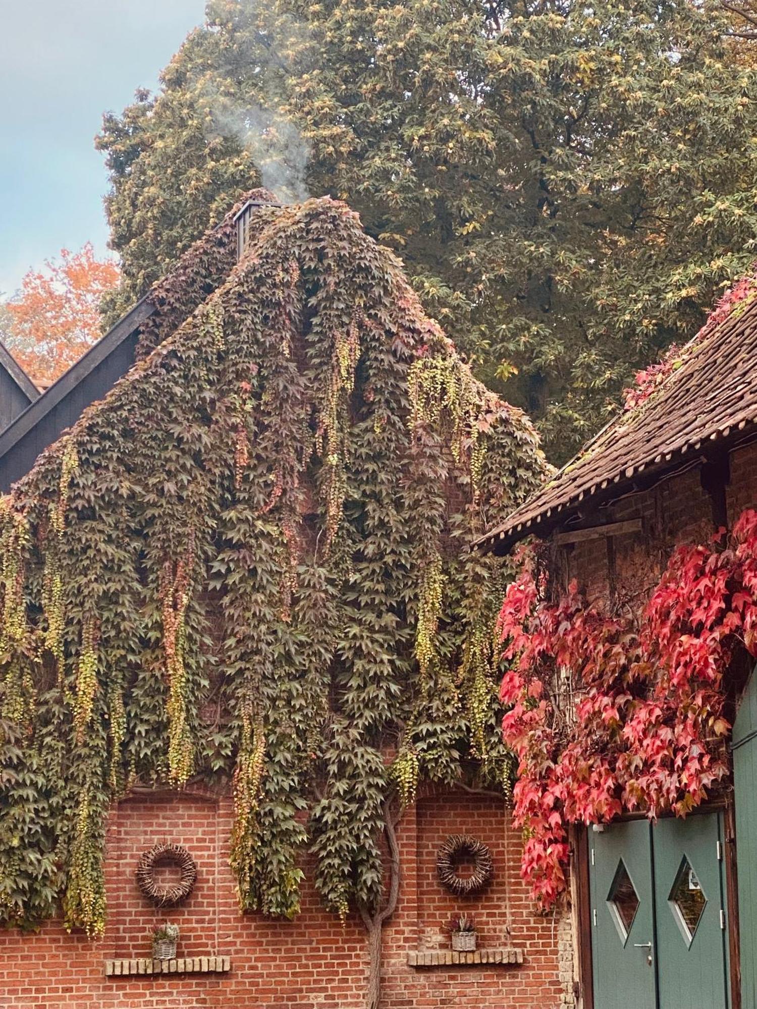 Landhaus Eggert Münster Kültér fotó
